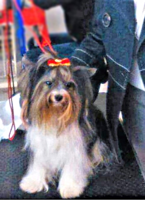 Consuelo Garrido Alcoba